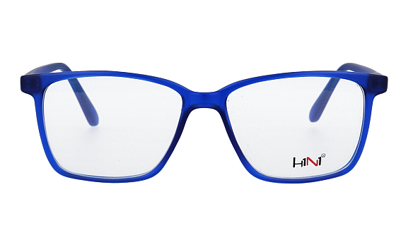 H1N1 HF2010 2