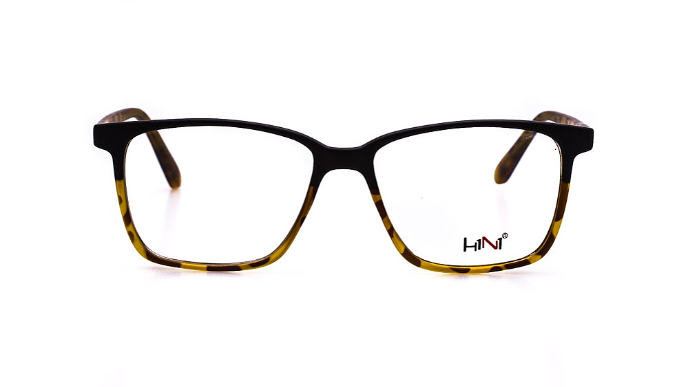 H1N1 HF2010 3
