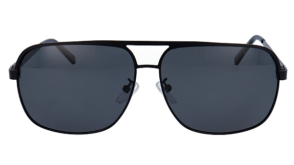 POLARVIEW PV3490B