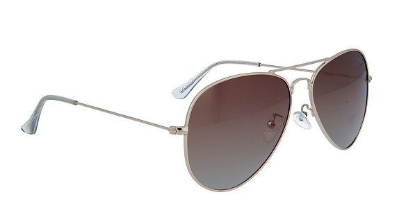 POLARVIEW PV3420A