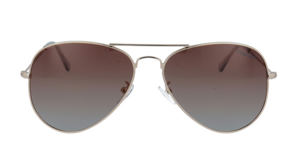 POLARVIEW PV3420A