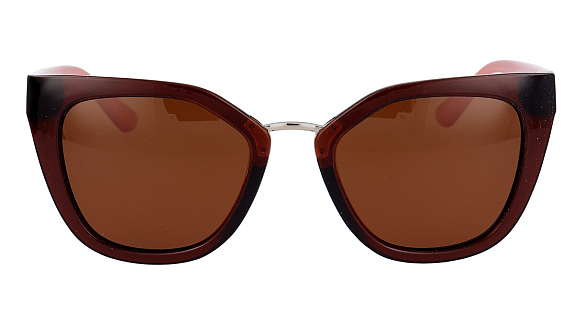 POLAR VISION PV 20199 C