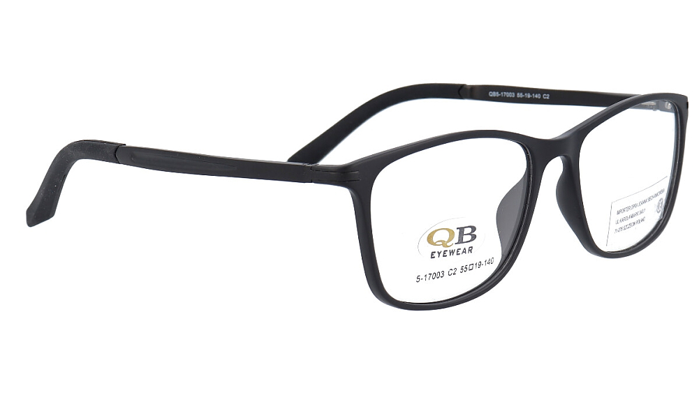 QB5-17003 2