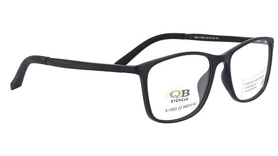 QB5-17003 2