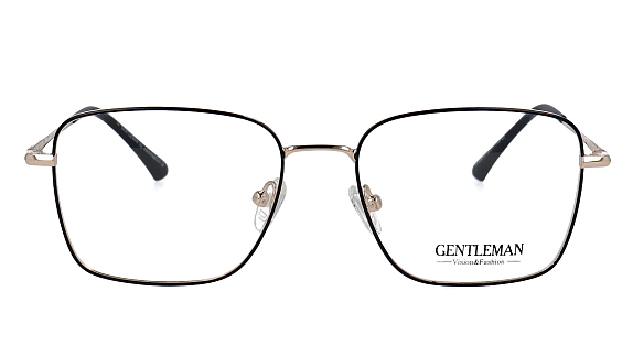 GENTLEMAN DP33070 C2