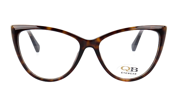 QB6920 C2