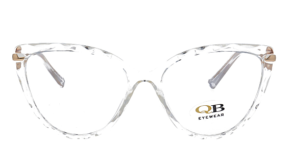 QB-LS010 C2