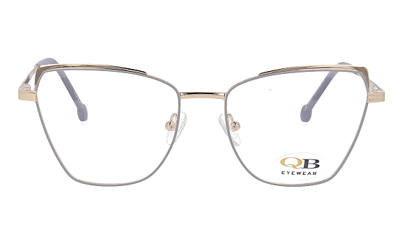 QB-YC8061 C5