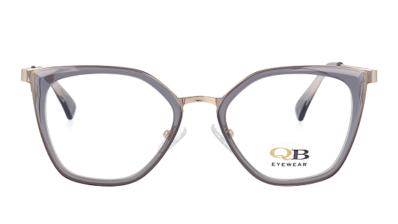 QB MS8180 C5