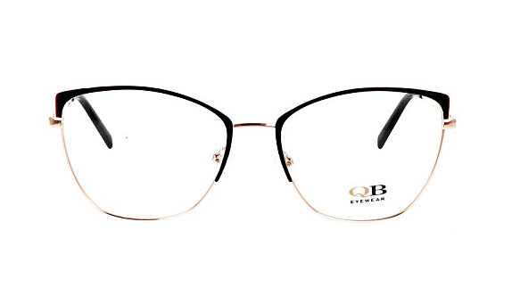 QB B23118 C1