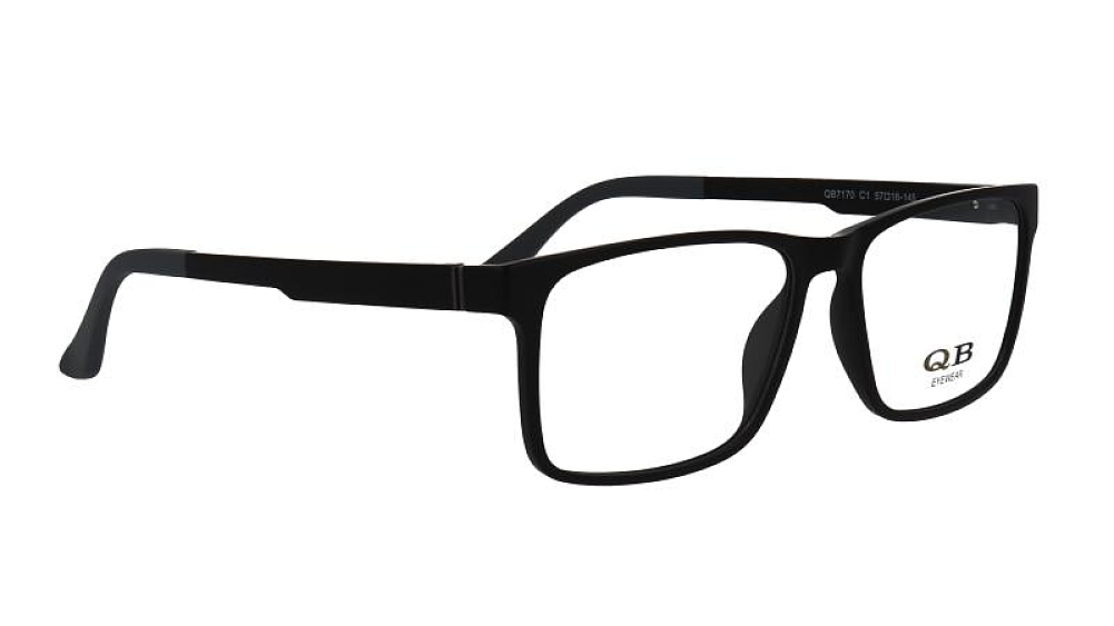 QB 7170 C1