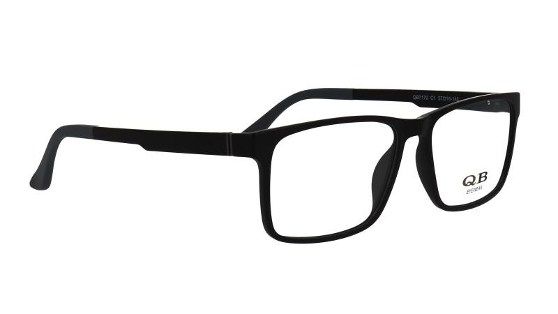 QB 7170 C1
