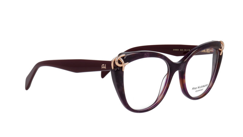ANA HICKMANN AH6604 G23